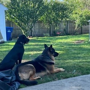 Meet your Posher, Mary